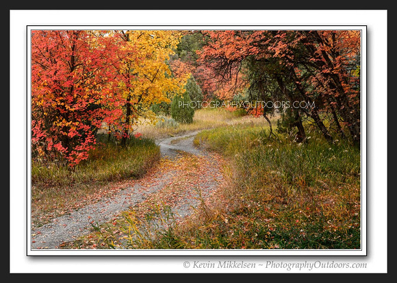 'Road to Autumn' ~ Scenic Byway 89