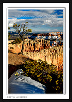 'Edge of the Canyon' ~ Bryce Canyon