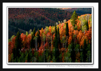 'Ridgeline Light' ~ Logan Canyon