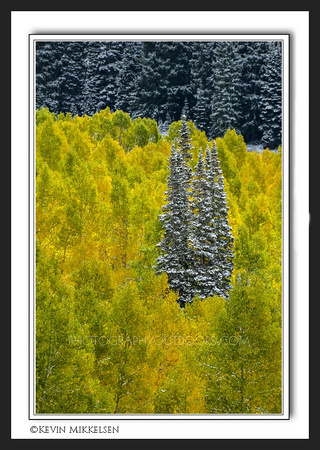 'Surrounded by Autumn' ~ Wasatch Nat'l Forest