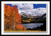 'High Country Aspen' - near Lizard Head Pass