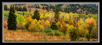 'Autumns Rainbow' ~ Wasatch Nat'l Forest