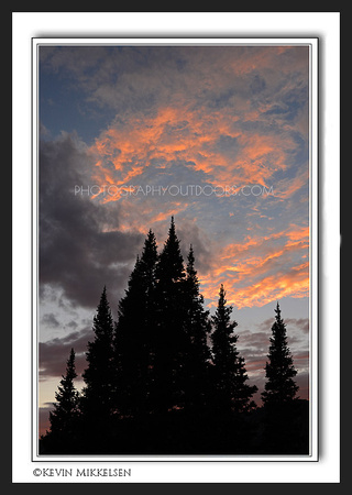 'Fiery Sunset' ~ Albion Basin/Wasatch Nat'l Forest