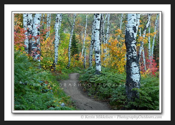 'Ultimate Trail' ~ North Fork Park