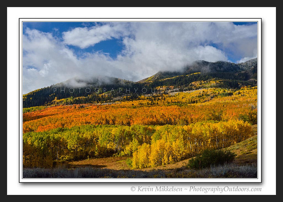 'Grove of Color' ~ Wasatch Nat'l Forest