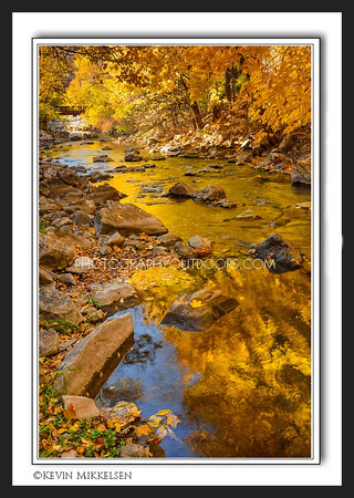 'Golden River' ~ Ogden Canyon
