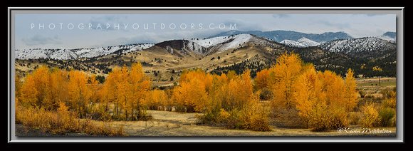 'Autumn on the High Plains' - near John Day