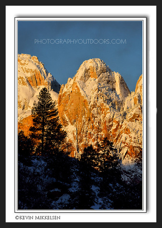 'Fir and Stone Spires' ~ Zion Nat'l Park