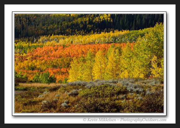 'Layers of Color' ~ Uinta Nat'l Forest