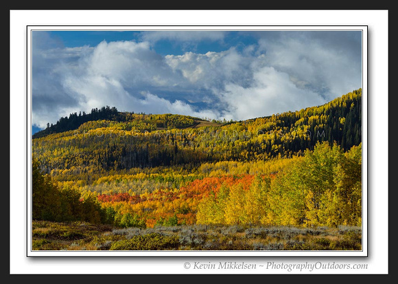 'Stormy Autumn' ~ Wasatch Nat'l Forest