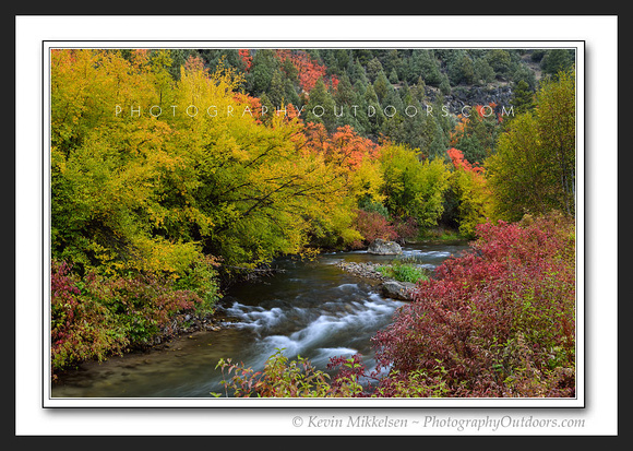 'Abounding in Color' ~ Logan Canyon