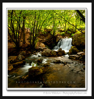 'Hidden Retreat' ~ Logan Canyon