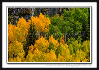 'Summer to Autumn' ~ Wasatch Nat'l Forest