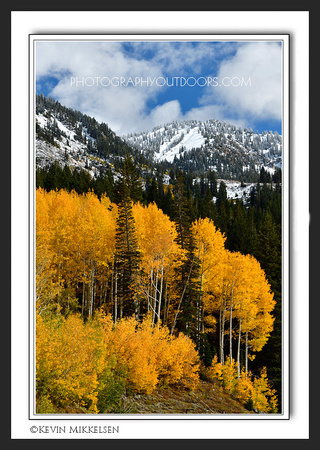 'Seasons Clash' ~ Little Cottonwood Canyon