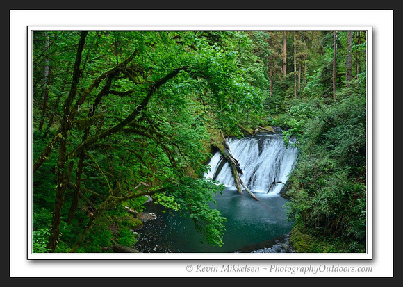 'Above Lower North Falls' ~ Silver Falls State Park